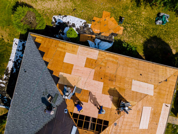 Best Metal Roofing Contractor  in Sebring, OH