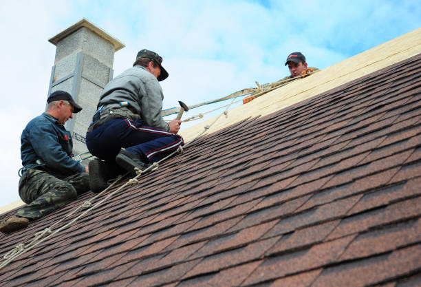 Best Roof Maintenance Services  in Sebring, OH